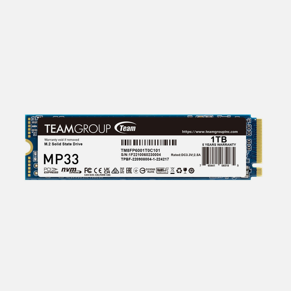 MP33 M.2 PCIe SSD